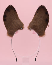 Load image into Gallery viewer, Brown Spotted Bunny