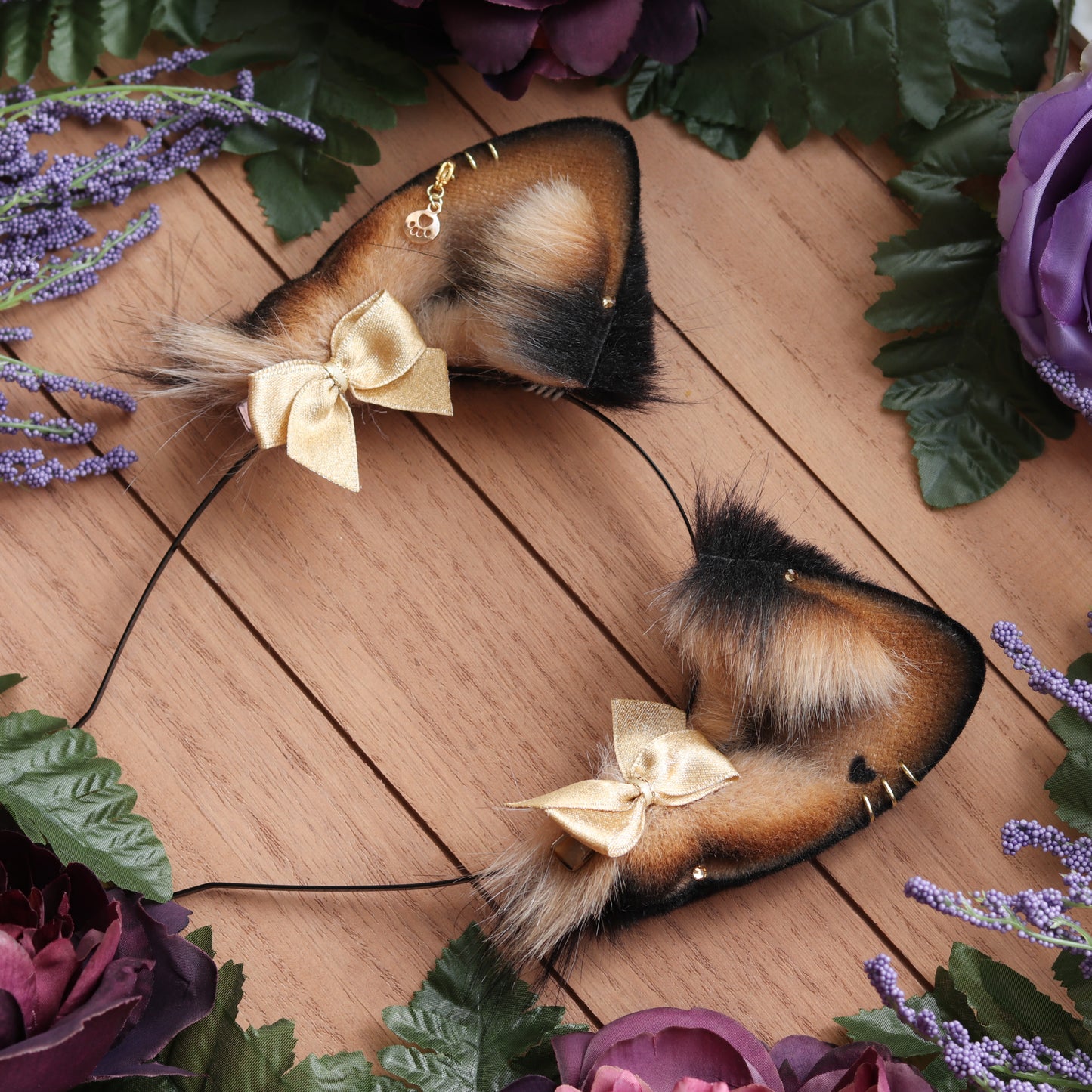 Black and tan Shiba Inu ears