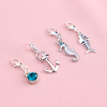 Load image into Gallery viewer, Add On: Bag of charms