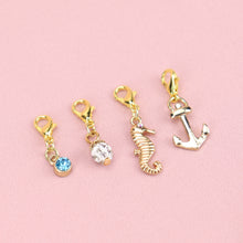 Load image into Gallery viewer, Add On: Bag of charms