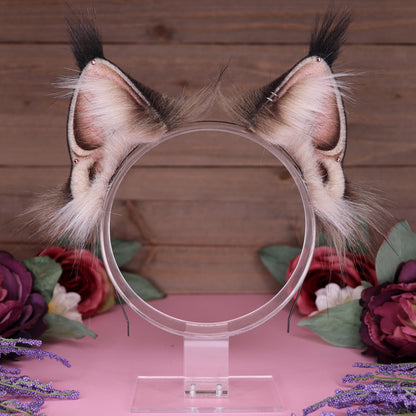 Maine Coon Ears