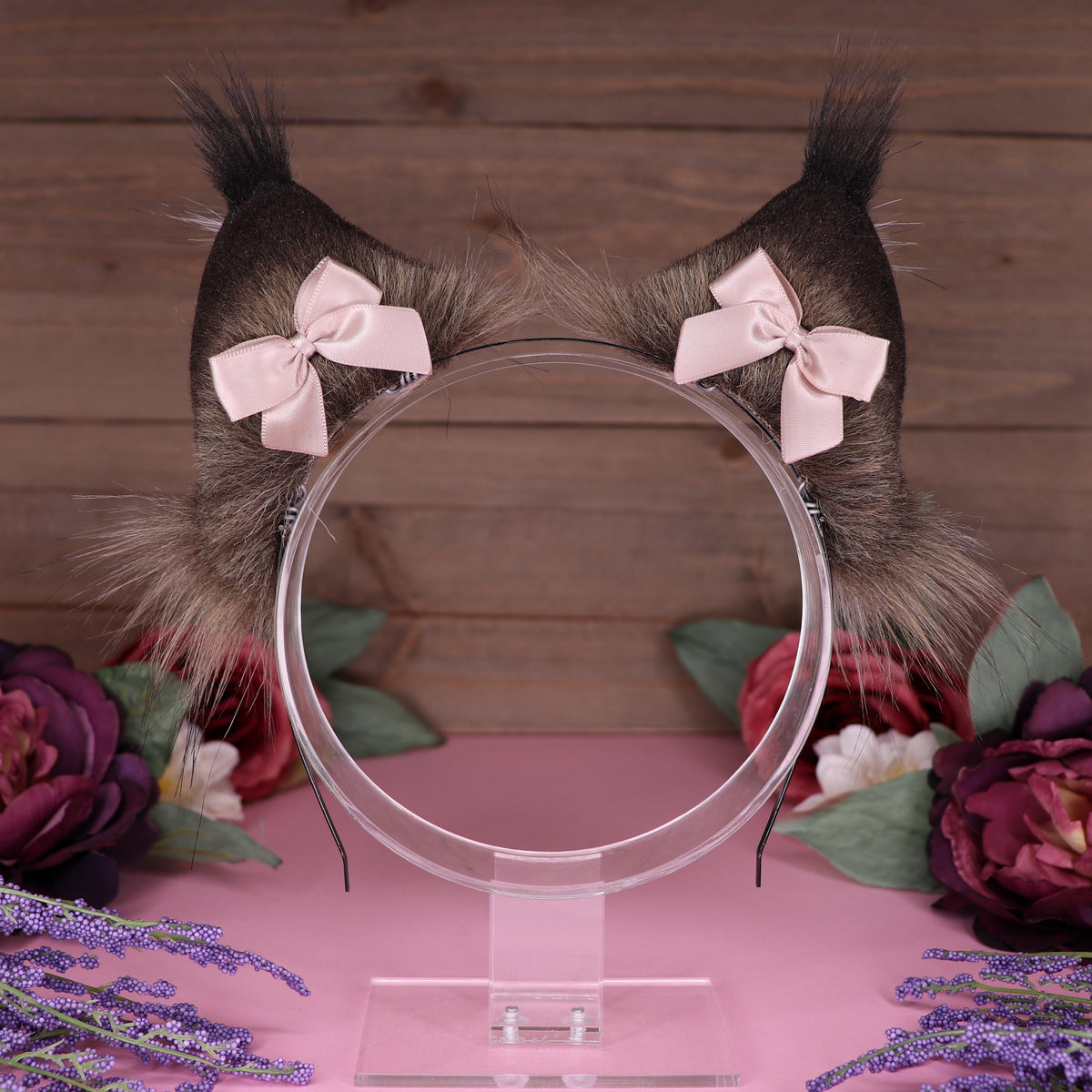 Maine Coon Ears