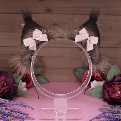 Maine Coon Ears